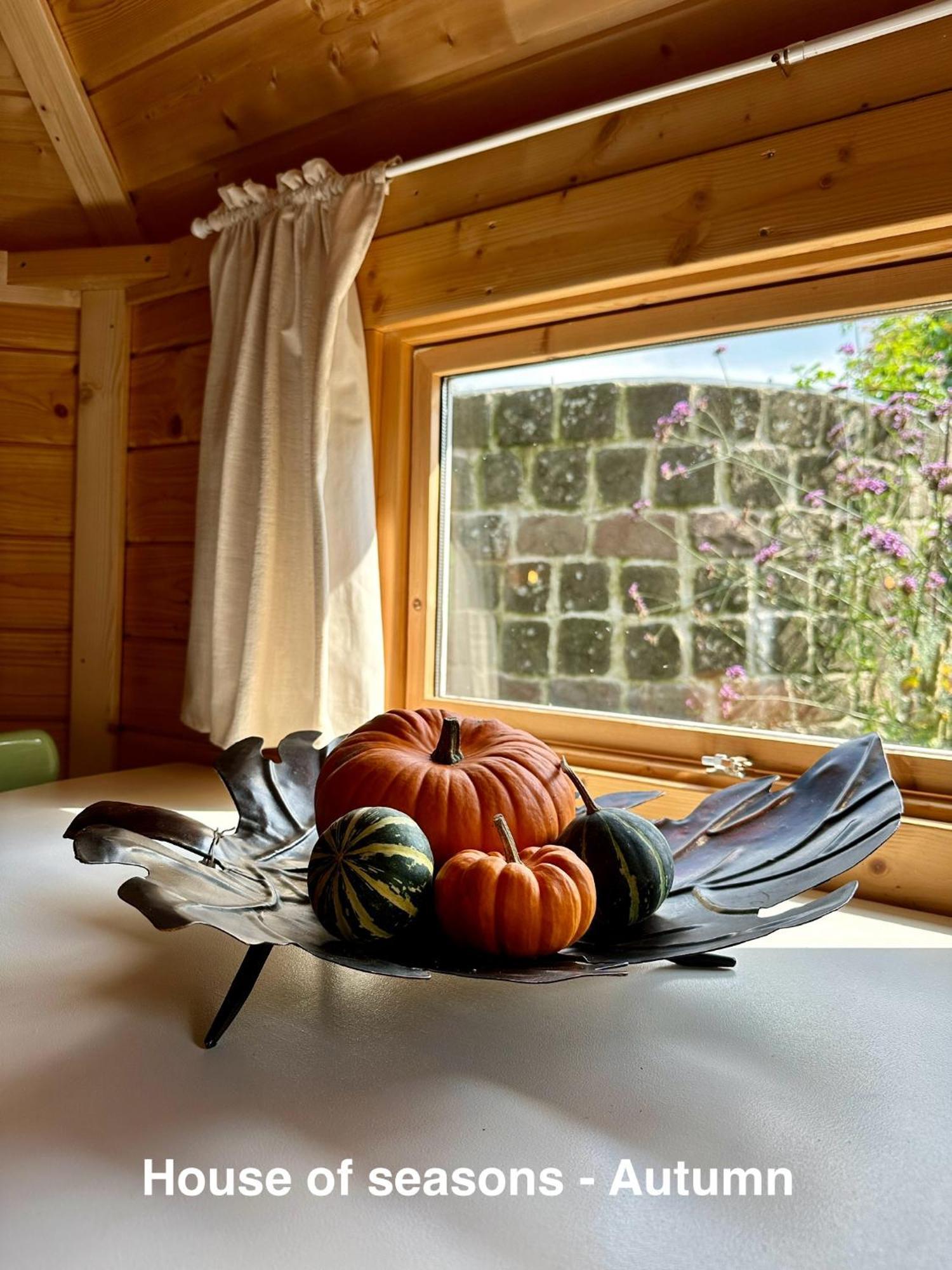 B&B Cosy Garden Alblasserdam ห้อง รูปภาพ